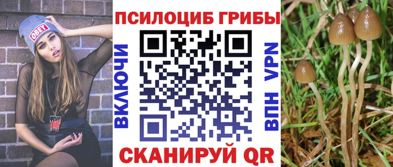 дарнет шоп  Ревда  Галлюциногенные грибы Cubensis 