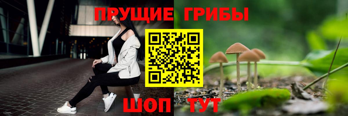 Псилоцибиновые грибы мицелий  купить наркотики цена  Ревда  Вход с VPN 
